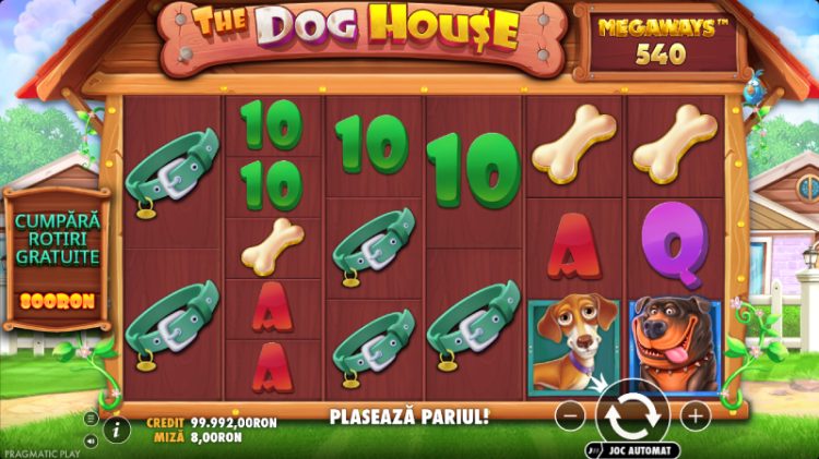 the dog house megaways pacanele